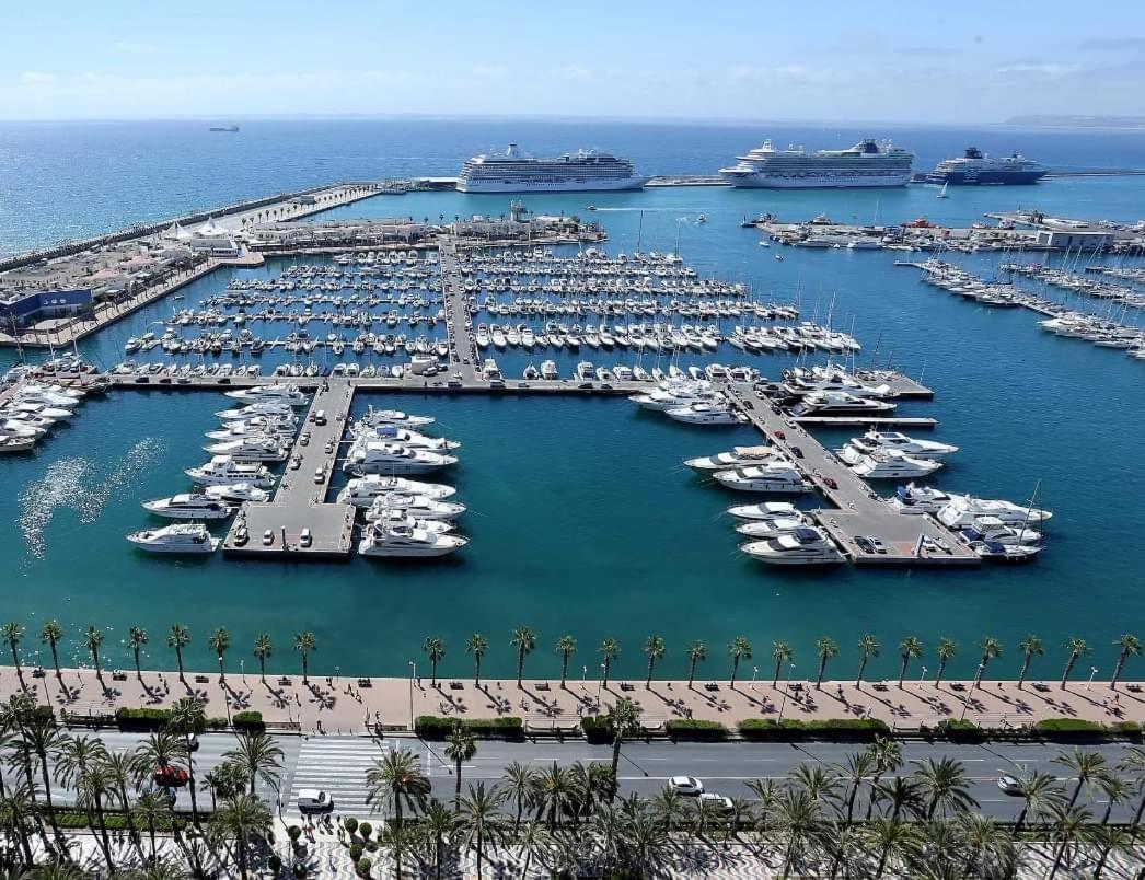 Charming Apartment In Alicante Near The Sea & City Center Kültér fotó